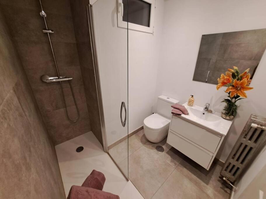 Centro Apartamento Santander